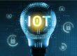 IoT
