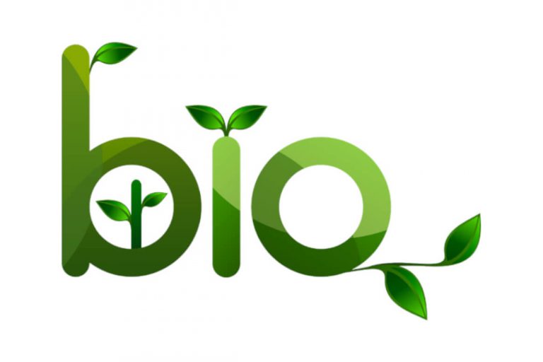 usina de geração distribuída movida a biogás