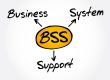 BSS