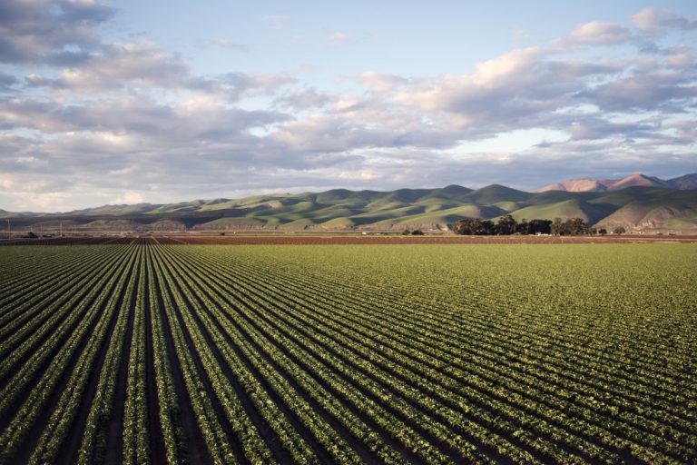 4G para o agronegócio