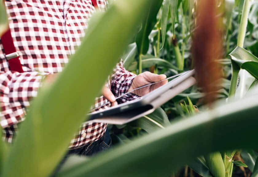 conectividade no campo