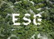 ESG